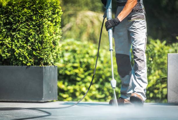 Best Graffiti Removal  in St Croix Falls, WI